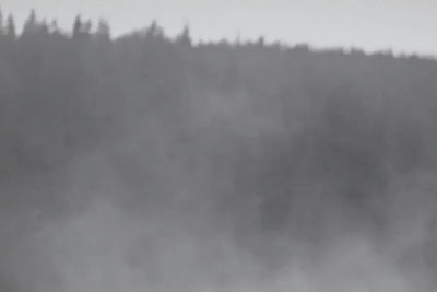 Masaje Descontracturante y de Tejido Profundo en Madrid